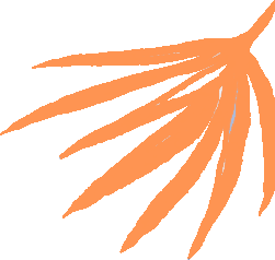 Shape Image