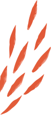 Shape Image